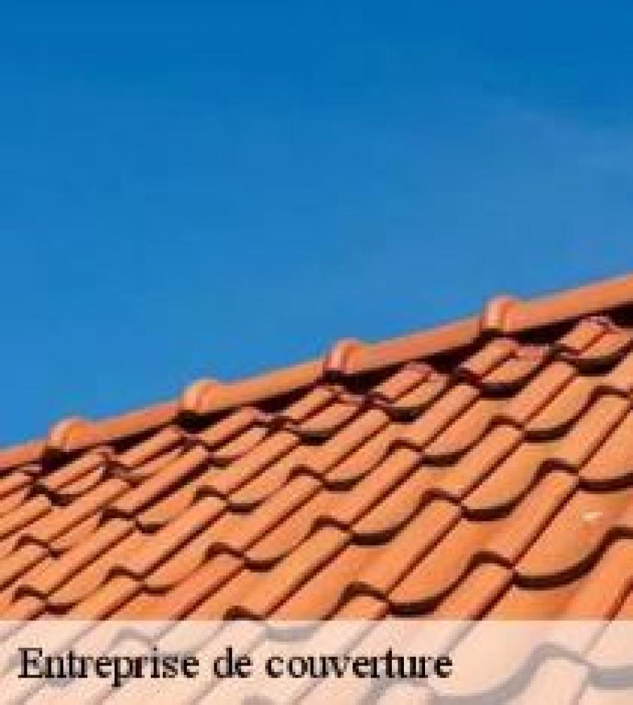 TOITURE LAND : un expert de la toiture dans le Rhône 