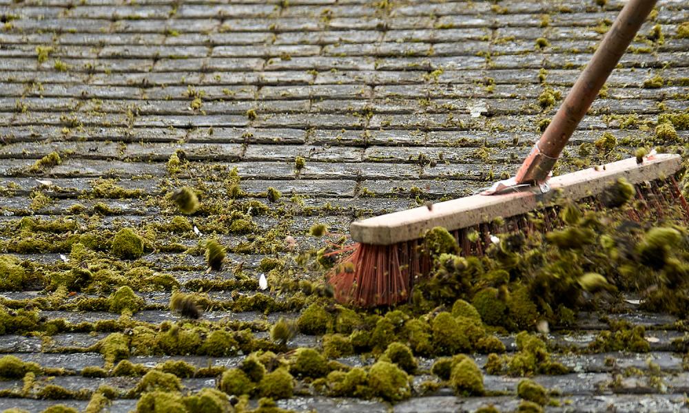 Artisans du ciel révélés